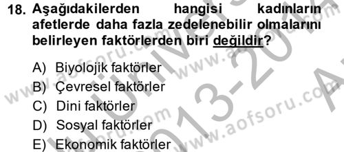 Toplumsal Cinsiyet Çalışmaları Dersi 2013 - 2014 Yılı (Vize) Ara Sınav Soruları 18. Soru