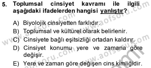 Toplumsal Cinsiyet Çalışmaları Dersi 2013 - 2014 Yılı (Vize) Ara Sınav Soruları 5. Soru