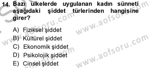 Toplumsal Cinsiyet Çalışmaları Dersi 2013 - 2014 Yılı (Final) Dönem Sonu Sınav Soruları 14. Soru