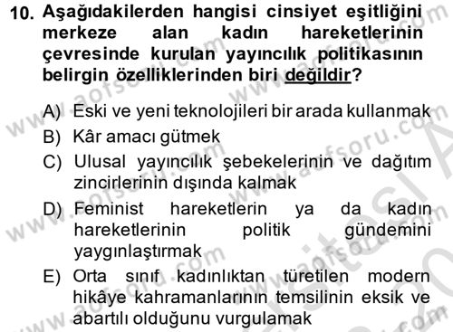 Toplumsal Cinsiyet Çalışmaları Dersi 2013 - 2014 Yılı Tek Ders Sınav Soruları 10. Soru