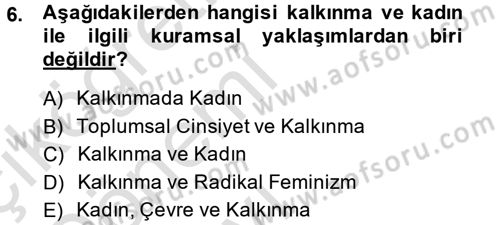 Toplumsal Cinsiyet Çalışmaları Dersi 2013 - 2014 Yılı Tek Ders Sınav Soruları 6. Soru