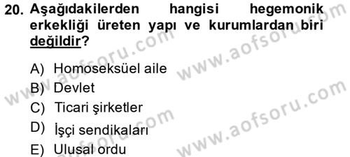Toplumsal Cinsiyet Çalışmaları Dersi 2014 - 2015 Yılı (Final) Dönem Sonu Sınav Soruları 20. Soru
