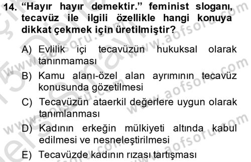 Toplumsal Cinsiyet Çalışmaları Dersi 2014 - 2015 Yılı Tek Ders Sınav Soruları 14. Soru