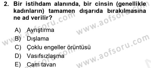 Toplumsal Cinsiyet Çalışmaları Dersi 2015 - 2016 Yılı (Vize) Ara Sınav Soruları 2. Soru
