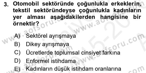 Toplumsal Cinsiyet Çalışmaları Dersi 2015 - 2016 Yılı (Vize) Ara Sınav Soruları 3. Soru