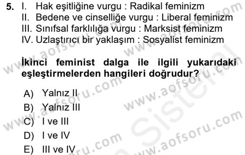 Toplumsal Cinsiyet Çalışmaları Dersi 2015 - 2016 Yılı (Vize) Ara Sınav Soruları 5. Soru