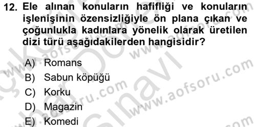 Toplumsal Cinsiyet Çalışmaları Dersi 2015 - 2016 Yılı (Final) Dönem Sonu Sınav Soruları 12. Soru