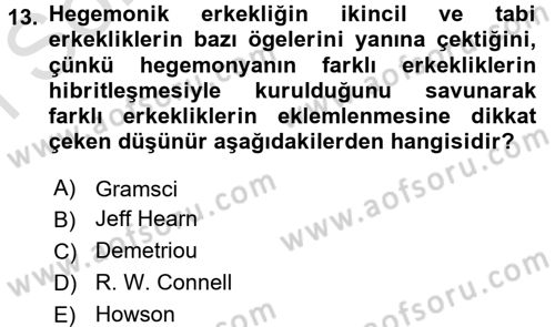 Toplumsal Cinsiyet Çalışmaları Dersi 2015 - 2016 Yılı (Final) Dönem Sonu Sınav Soruları 13. Soru