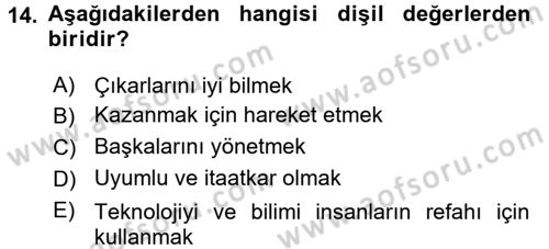 Toplumsal Cinsiyet Çalışmaları Dersi 2015 - 2016 Yılı Tek Ders Sınav Soruları 14. Soru