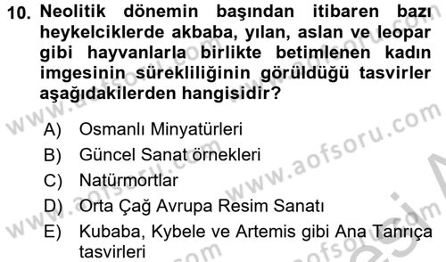 Toplumsal Cinsiyet Çalışmaları Dersi 2016 - 2017 Yılı 3 Ders Sınav Soruları 10. Soru