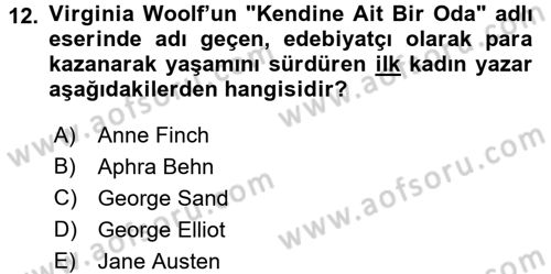 Toplumsal Cinsiyet Çalışmaları Dersi 2016 - 2017 Yılı 3 Ders Sınav Soruları 12. Soru