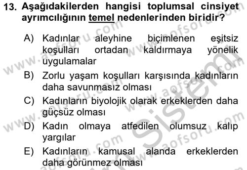 Toplumsal Cinsiyet Çalışmaları Dersi 2016 - 2017 Yılı 3 Ders Sınav Soruları 13. Soru