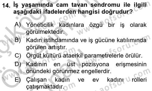 Toplumsal Cinsiyet Çalışmaları Dersi 2016 - 2017 Yılı 3 Ders Sınav Soruları 14. Soru