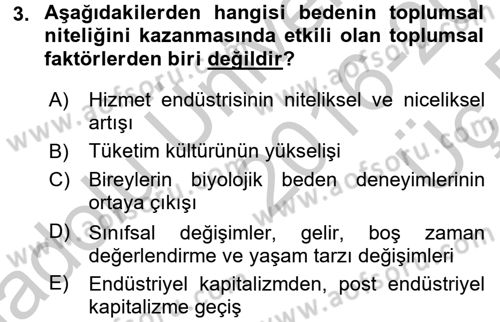 Toplumsal Cinsiyet Çalışmaları Dersi 2016 - 2017 Yılı 3 Ders Sınav Soruları 3. Soru
