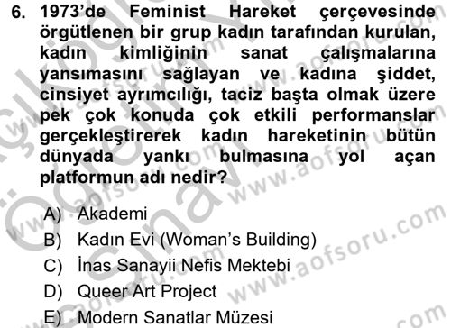 Toplumsal Cinsiyet Çalışmaları Dersi 2016 - 2017 Yılı 3 Ders Sınav Soruları 6. Soru