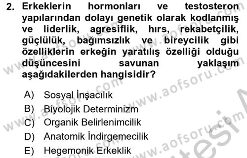 Toplumsal Cinsiyet Çalışmaları Dersi 2016 - 2017 Yılı (Vize) Ara Sınavı 2. Soru