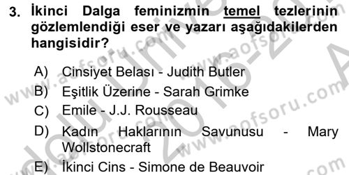 Toplumsal Cinsiyet Çalışmaları Dersi 2016 - 2017 Yılı (Vize) Ara Sınavı 3. Soru