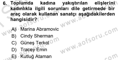 Toplumsal Cinsiyet Çalışmaları Dersi 2016 - 2017 Yılı (Final) Dönem Sonu Sınav Soruları 6. Soru