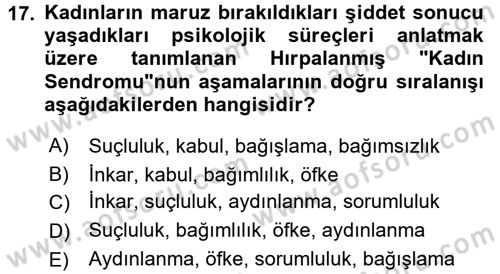 Toplumsal Cinsiyet Çalışmaları Dersi 2017 - 2018 Yılı 3 Ders Sınav Soruları 17. Soru