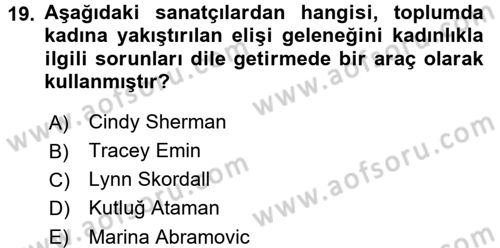 Toplumsal Cinsiyet Çalışmaları Dersi 2017 - 2018 Yılı 3 Ders Sınav Soruları 19. Soru