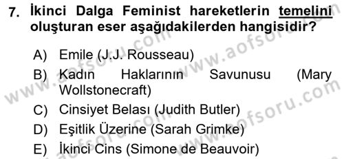 Toplumsal Cinsiyet Çalışmaları Dersi 2017 - 2018 Yılı 3 Ders Sınav Soruları 7. Soru