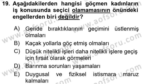 Toplumsal Cinsiyet Çalışmaları Dersi 2017 - 2018 Yılı (Vize) Ara Sınav Soruları 19. Soru