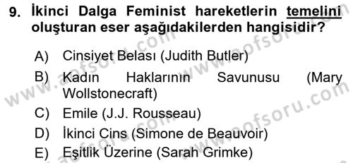 Toplumsal Cinsiyet Çalışmaları Dersi 2017 - 2018 Yılı (Vize) Ara Sınav Soruları 9. Soru