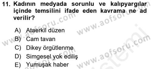 Toplumsal Cinsiyet Çalışmaları Dersi 2017 - 2018 Yılı (Final) Dönem Sonu Sınav Soruları 11. Soru