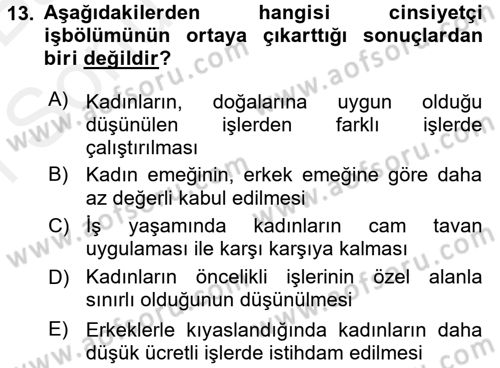 Toplumsal Cinsiyet Çalışmaları Dersi 2017 - 2018 Yılı (Final) Dönem Sonu Sınav Soruları 13. Soru