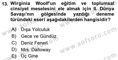 Toplumsal Cinsiyet Çalışmaları Dersi 2018 - 2019 Yılı 3 Ders Sınav Soruları 13. Soru