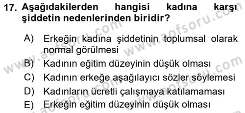 Toplumsal Cinsiyet Çalışmaları Dersi 2018 - 2019 Yılı 3 Ders Sınavı 17. Soru