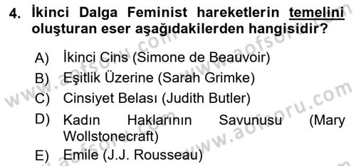 Toplumsal Cinsiyet Çalışmaları Dersi 2018 - 2019 Yılı 3 Ders Sınav Soruları 4. Soru