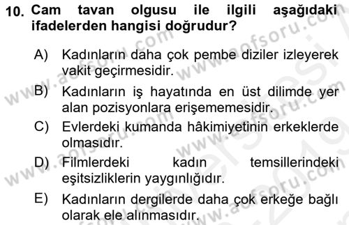 Toplumsal Cinsiyet Çalışmaları Dersi 2018 - 2019 Yılı (Final) Dönem Sonu Sınav Soruları 10. Soru