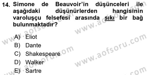 Toplumsal Cinsiyet Çalışmaları Dersi 2018 - 2019 Yılı (Final) Dönem Sonu Sınav Soruları 14. Soru