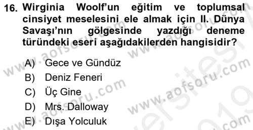 Toplumsal Cinsiyet Çalışmaları Dersi 2018 - 2019 Yılı (Final) Dönem Sonu Sınav Soruları 16. Soru