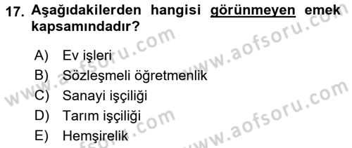 Toplumsal Cinsiyet Çalışmaları Dersi 2018 - 2019 Yılı (Final) Dönem Sonu Sınav Soruları 17. Soru