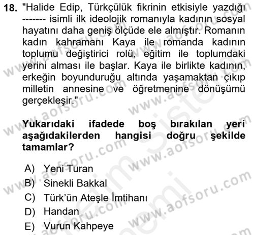 Toplumsal Cinsiyet Çalışmaları Dersi 2018 - 2019 Yılı (Final) Dönem Sonu Sınav Soruları 18. Soru