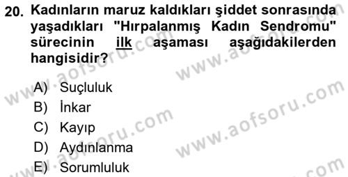 Toplumsal Cinsiyet Çalışmaları Dersi 2018 - 2019 Yılı (Final) Dönem Sonu Sınav Soruları 20. Soru
