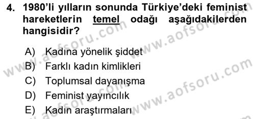 Toplumsal Cinsiyet Çalışmaları Dersi 2018 - 2019 Yılı (Final) Dönem Sonu Sınav Soruları 4. Soru