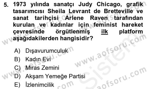 Toplumsal Cinsiyet Çalışmaları Dersi 2018 - 2019 Yılı (Final) Dönem Sonu Sınav Soruları 5. Soru
