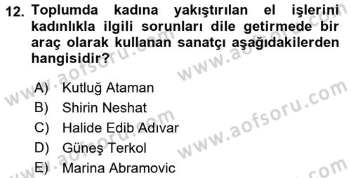 Toplumsal Cinsiyet Çalışmaları Dersi 2018 - 2019 Yılı Yaz Okulu Sınav Soruları 12. Soru
