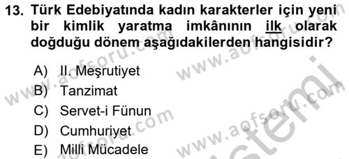 Toplumsal Cinsiyet Çalışmaları Dersi 2018 - 2019 Yılı Yaz Okulu Sınav Soruları 13. Soru