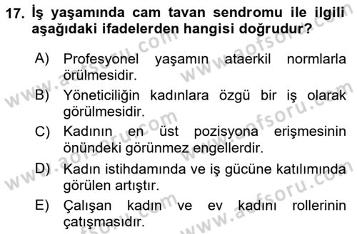 Toplumsal Cinsiyet Çalışmaları Dersi 2018 - 2019 Yılı Yaz Okulu Sınav Soruları 17. Soru