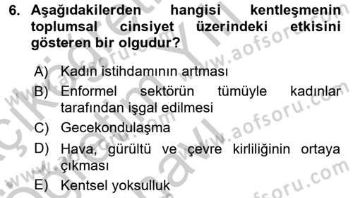 Toplumsal Cinsiyet Çalışmaları Dersi 2018 - 2019 Yılı Yaz Okulu Sınav Soruları 6. Soru