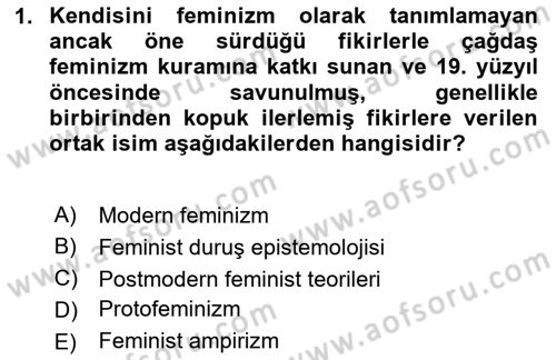 Toplumsal Cinsiyet Çalışmaları Dersi 2020 - 2021 Yılı Yaz Okulu Sınav Soruları 1. Soru