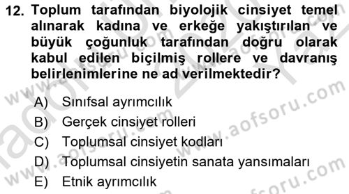 Toplumsal Cinsiyet Çalışmaları Dersi 2020 - 2021 Yılı Yaz Okulu Sınav Soruları 12. Soru