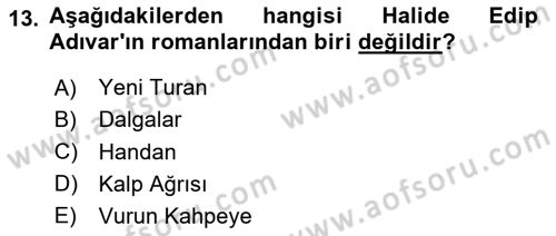 Toplumsal Cinsiyet Çalışmaları Dersi 2020 - 2021 Yılı Yaz Okulu Sınav Soruları 13. Soru