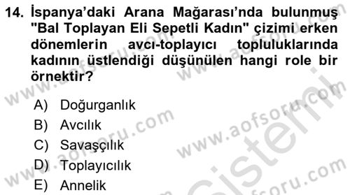 Toplumsal Cinsiyet Çalışmaları Dersi 2020 - 2021 Yılı Yaz Okulu Sınav Soruları 14. Soru