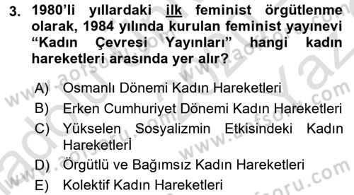 Toplumsal Cinsiyet Çalışmaları Dersi 2020 - 2021 Yılı Yaz Okulu Sınav Soruları 3. Soru