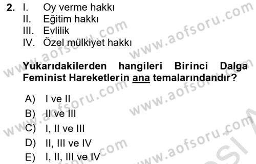 Toplumsal Cinsiyet Çalışmaları Dersi 2021 - 2022 Yılı (Vize) Ara Sınav Soruları 2. Soru